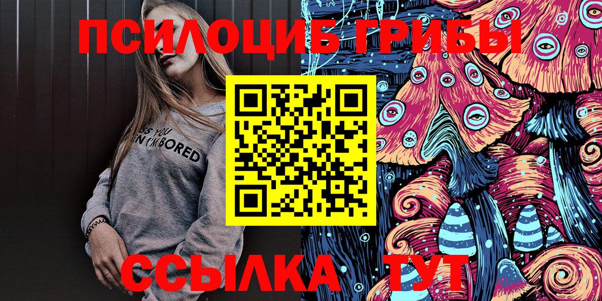 Вичуга  Псилоцибиновые грибы MAGIC MUSHROOMS  Вход с VPN 