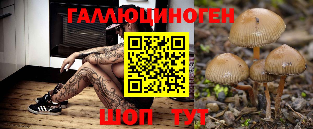 Псилоцибиновые грибы ЛСД Вичуга