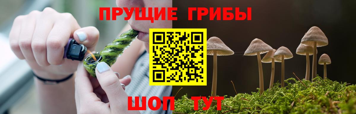 Меф Вичуга